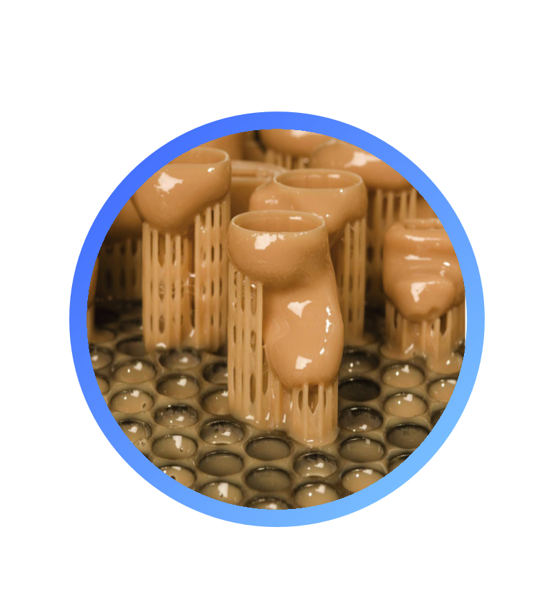 Colorlib HTML5 Template