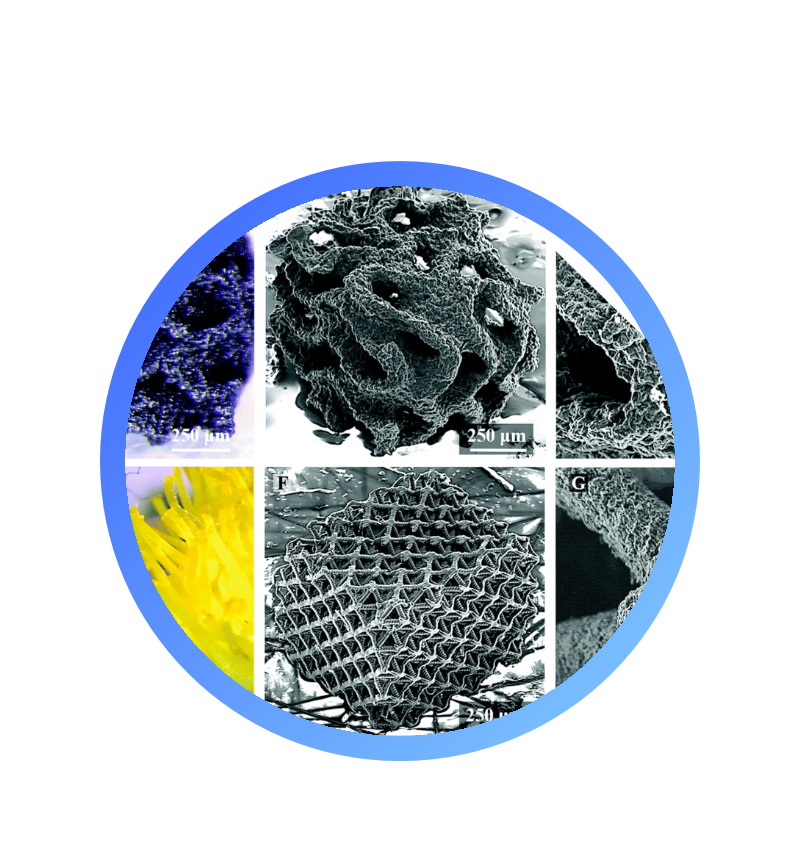 Colorlib HTML5 Template